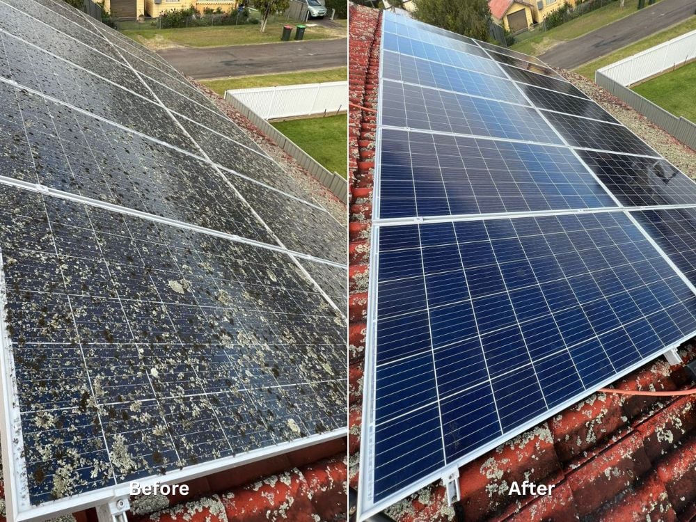 A comparison of a solar panel array installed on a red tile roof, labelled 'Before' on the left showing heavy dirt and lichen buildup, and 'After' on the right showing the panels completely clean and glossy.